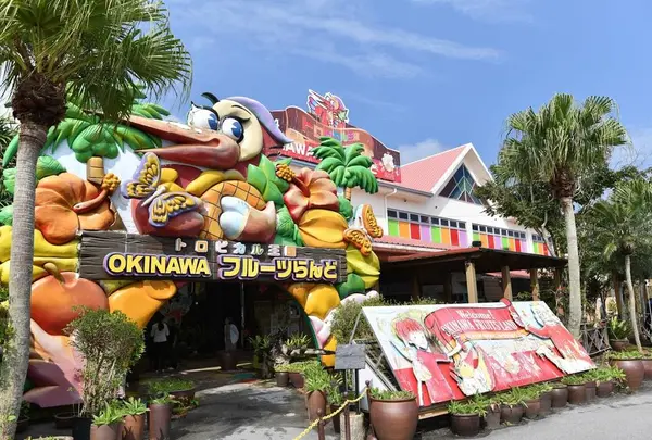 ☆【カップ】OKINAWAフルーツランド