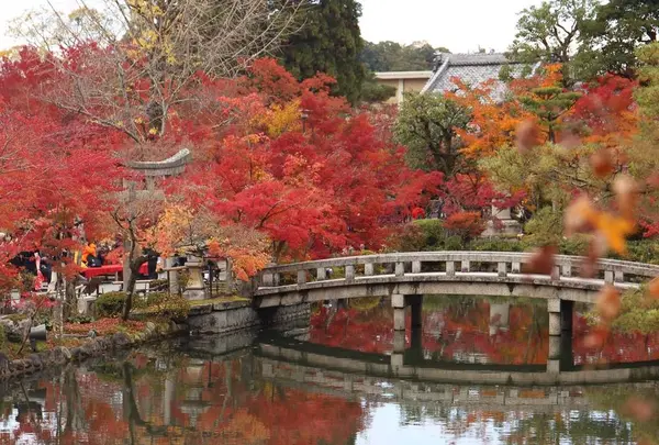 永観堂（禅林寺）
