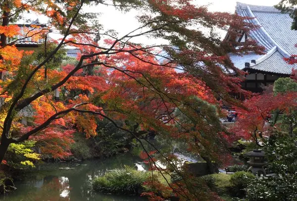 金戒光明寺
