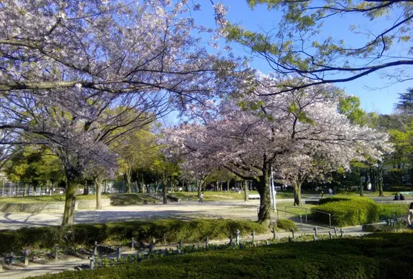 千種公園