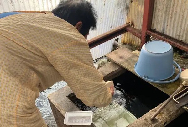 上原豆腐店の写真・動画_image_694604