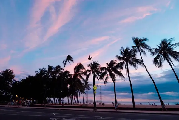 Waikiki Beach（ワイキキ・ビーチ）の写真・動画_image_694865