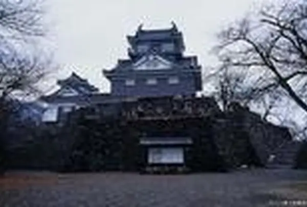越前大野城
