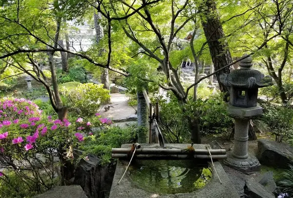 新渓園