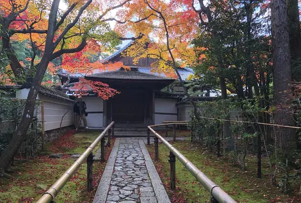 高桐院