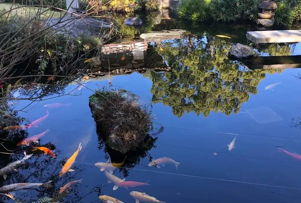 第6番札所 安楽寺