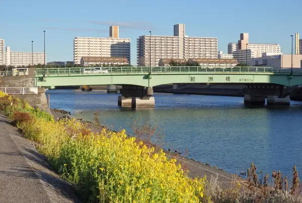 しながわ花海道水辺広場の写真・動画_image_700722