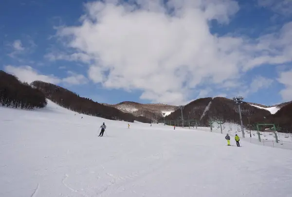 札幌藻岩山スキー場の写真・動画_image_703753