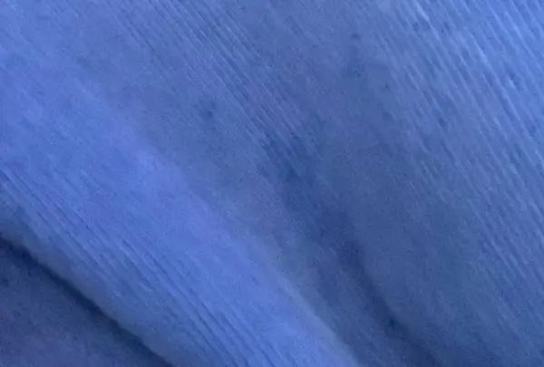 吉川駅南口　鯰モニュメント