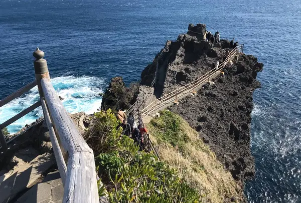 石廊崎の写真・動画_image_705306