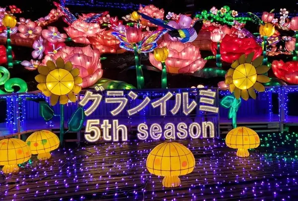 伊豆ぐらんぱる公園の写真・動画_image_705826