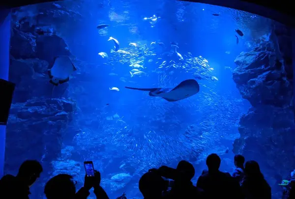 京都水族館