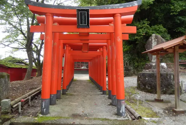 今山八幡宮の写真・動画_image_708845