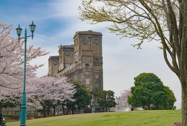 根岸森林公園の写真・動画_image_709316