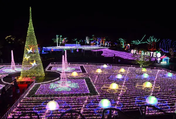 フローランテ宮崎の写真・動画_image_709381