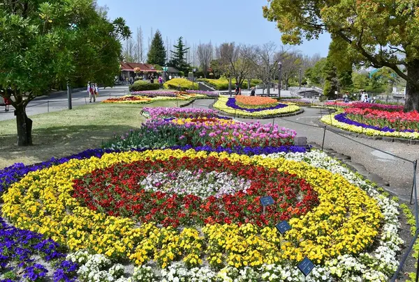安城産業文化公園デンパークの写真・動画_image_712277