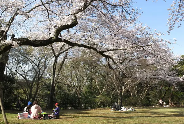 清水公園の写真・動画_image_713018