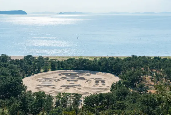 琴弾公園の写真・動画_image_713406