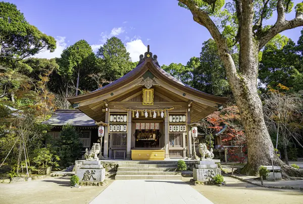 竈門神社の写真・動画_image_715400
