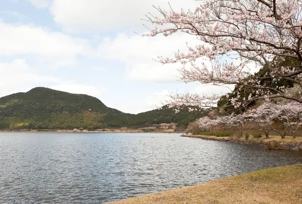 藺牟田池県立自然公園の写真・動画_image_715520