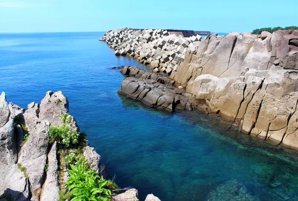 照島海岸の写真・動画_image_715979