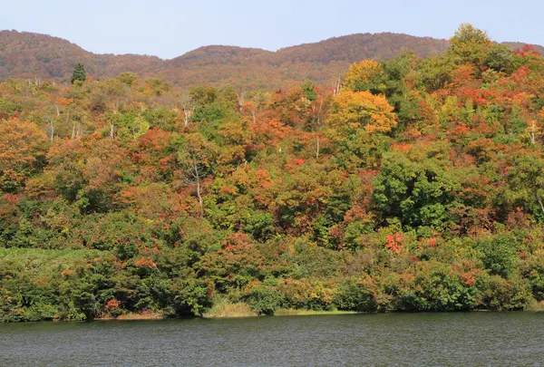 なべくら高原の写真・動画_image_716631