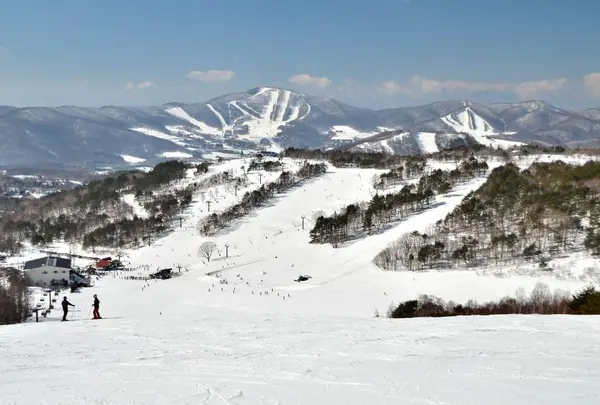 菅平高原スノーリゾートの写真・動画_image_716746