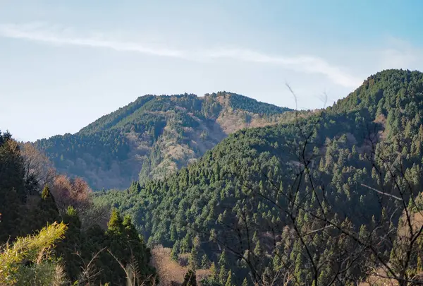 金剛山の写真・動画_image_717232