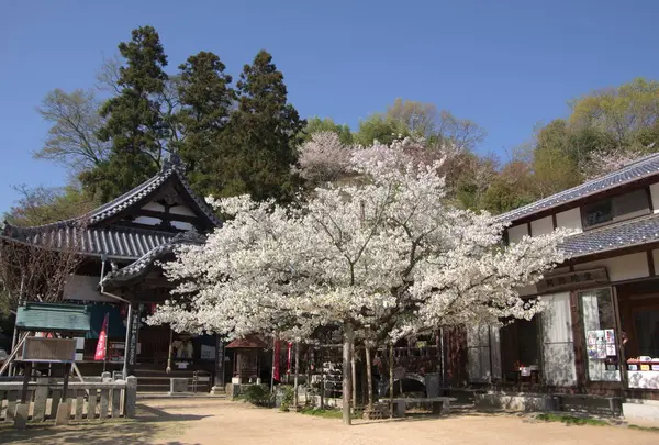 西法寺の写真・動画_image_717738