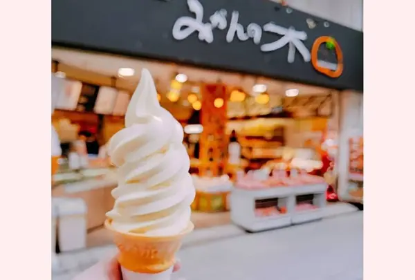 えひめ果実倶楽部みかんの木