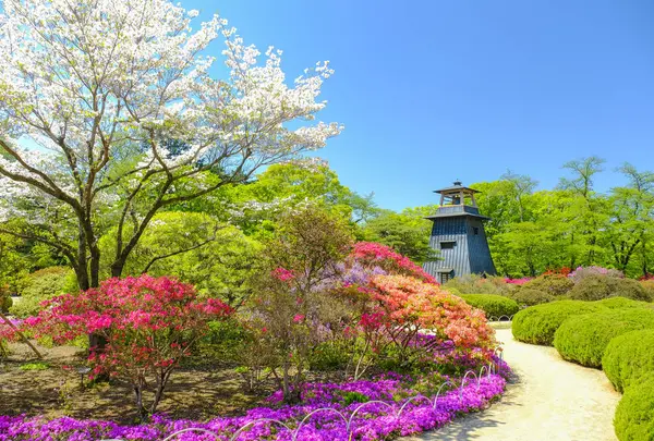 沼田公園の写真・動画_image_720149