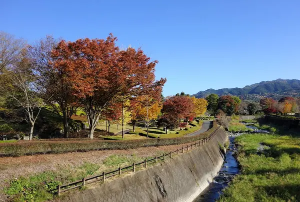 甘楽総合公園の写真・動画_image_720153