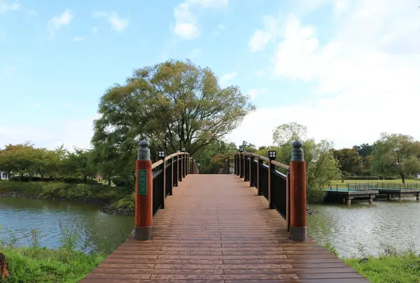 天王グリーンランドの写真・動画_image_720670