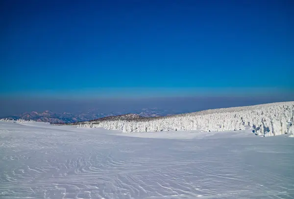 秋田八幡平スキー場の写真・動画_image_720672