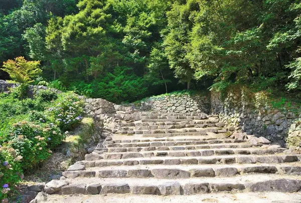 安土城跡の写真・動画_image_720697