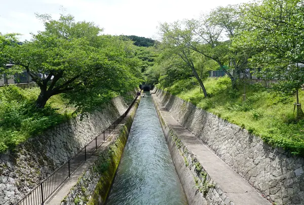 琵琶湖疏水の写真・動画_image_721149