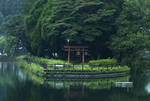 出の山公園の写真・動画_image_721261