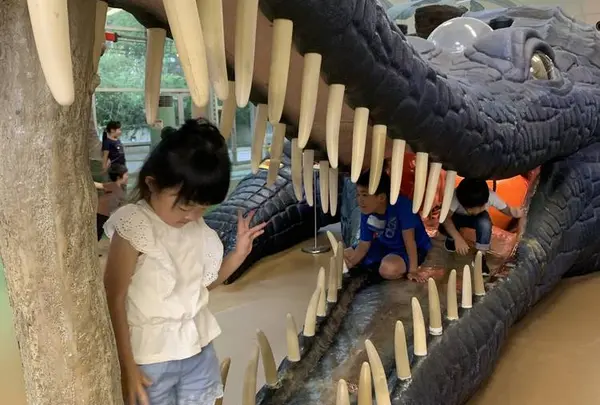 子供遊び場ビックバン