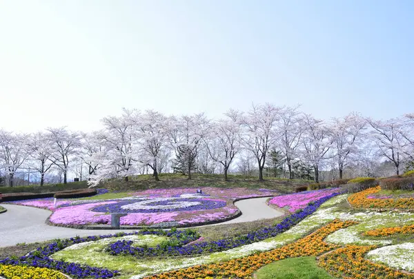 国営みちのく杜の湖畔公園の写真・動画_image_721731