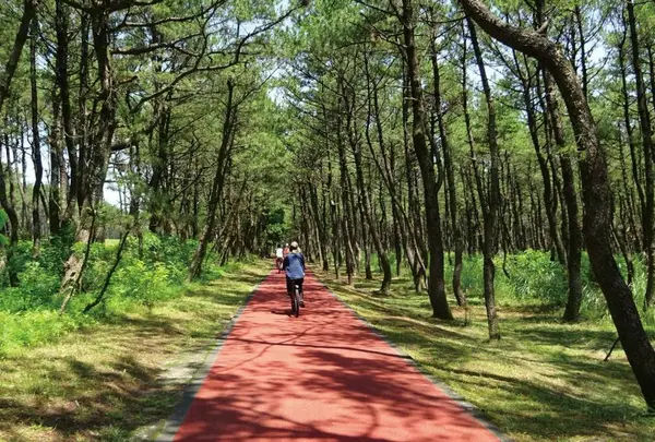 パークウェイ(阿波岐原森林公園)