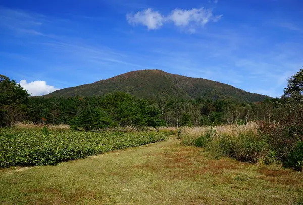 泉ヶ岳の写真・動画_image_723195