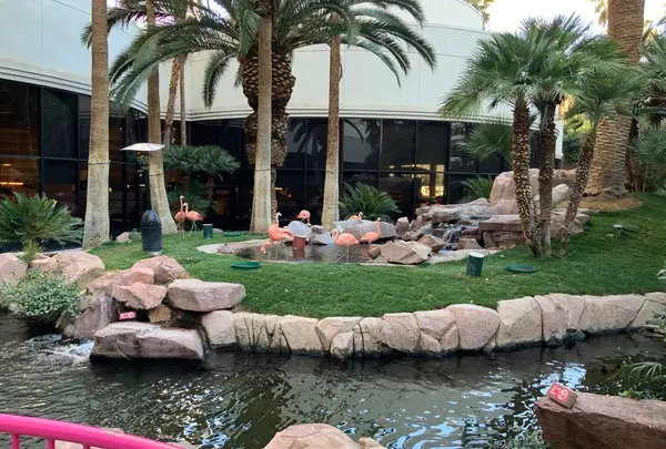 Flamingo Hotel