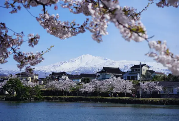 勢至公園の写真・動画_image_723712