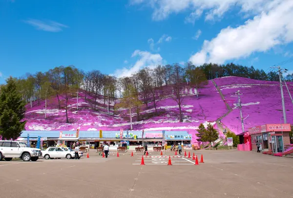 東藻琴芝桜公園の写真・動画_image_724323