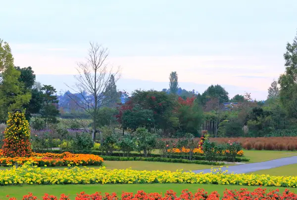 清水公園花ファンタジアの写真・動画_image_724656