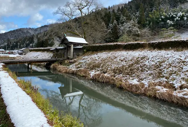 一乗谷朝倉氏遺跡の写真・動画_image_726446