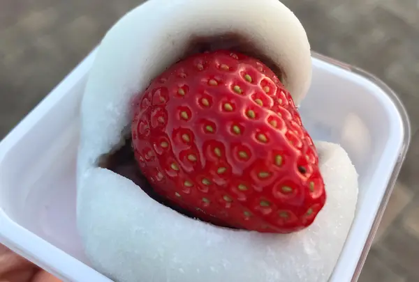 ろまんちっく村