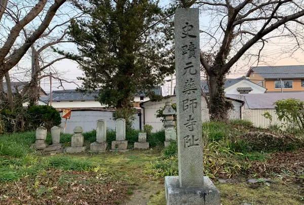 本薬師寺跡　ホテイアオイ