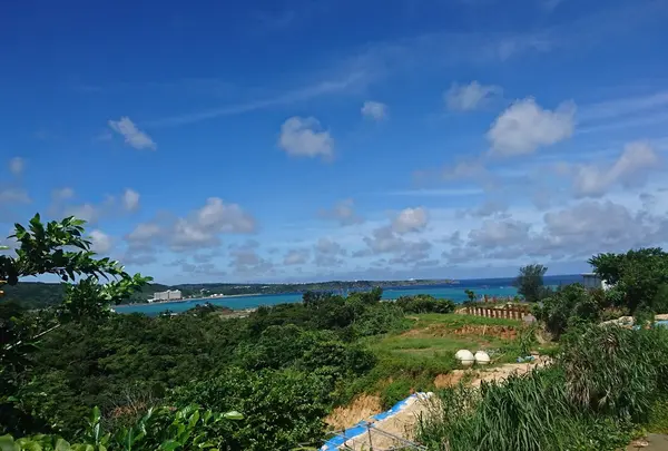 トップマリン冨着店