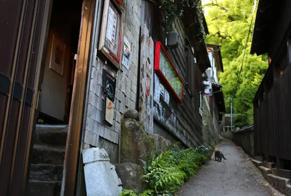 猫の細道